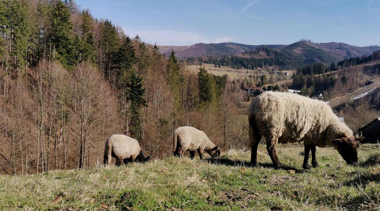 Penzion Rzehaczek โดลนีโลมนา ภายนอก รูปภาพ
