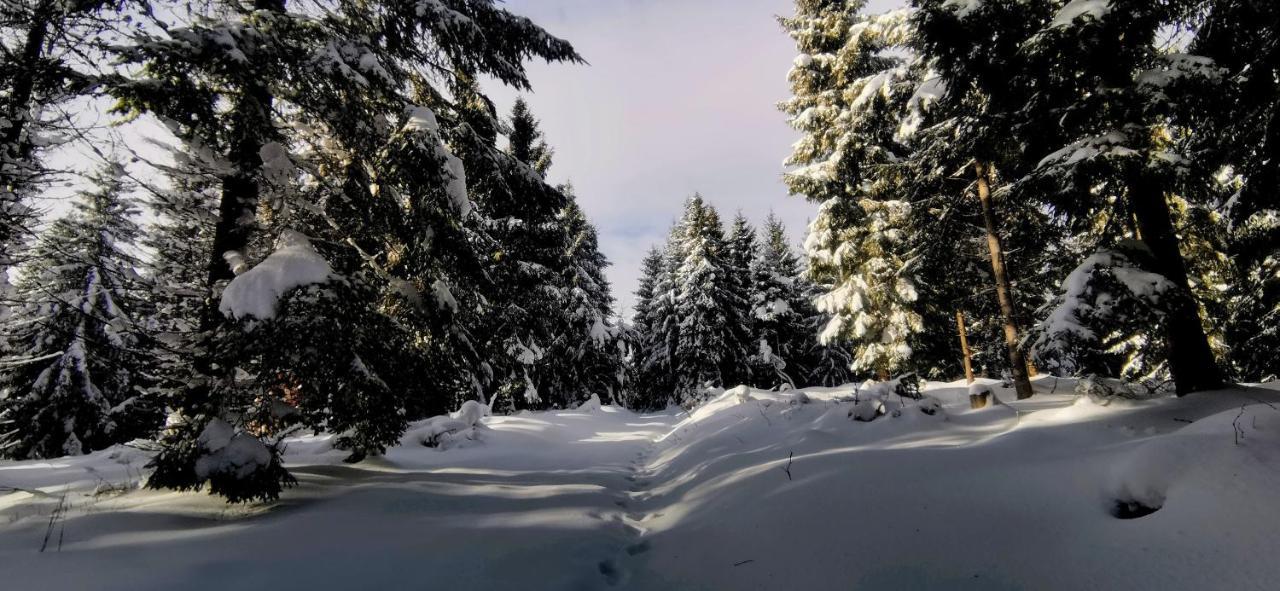 Penzion Rzehaczek โดลนีโลมนา ภายนอก รูปภาพ