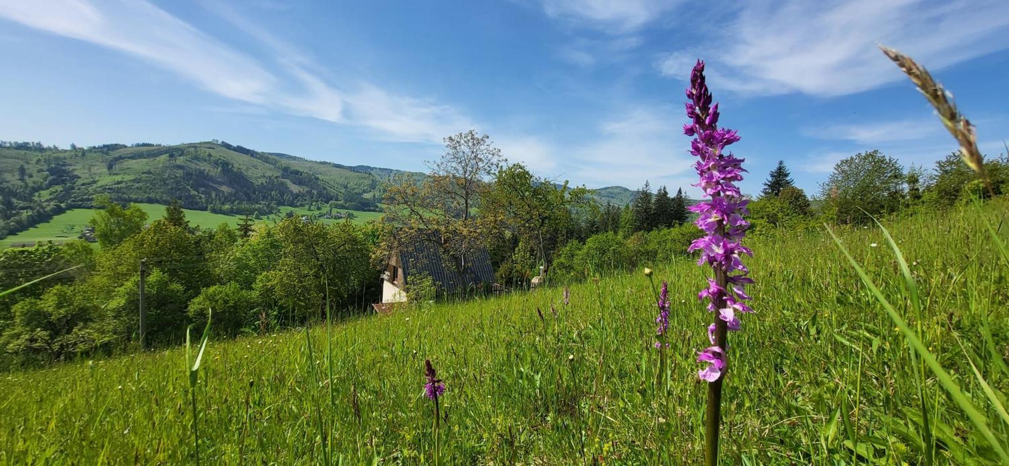 Penzion Rzehaczek โดลนีโลมนา ภายนอก รูปภาพ